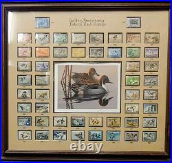 50th Anniversary Framed Federal Duck Stamp Collection With Signed print