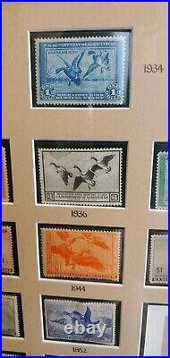 50th Anniversary Framed Federal Duck Stamp Collection With Signed print