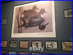 Golden 50th Anniversary Nicely Framed Federal Duck Stamp Collection Phil Scholer