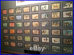 Golden 50th Anniversary Nicely Framed Federal Duck Stamp Collection Phil Scholer